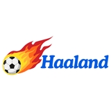 The "Erling Haaland" user's logo