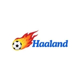 The "Erling Haaland Erling Braut Haaland" user's logo