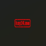 The "Hay24" user's logo