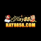 The "HAY88" user's logo