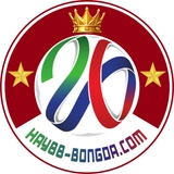 The "Hay88bongda com" user's logo