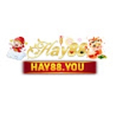 The "HAY88" user's logo