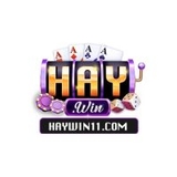 The "haywin11com" user's logo
