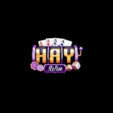 The "haywin1net" user's logo