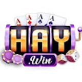 The "HAYWIN" user's logo