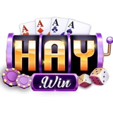The "Haywin" user's logo