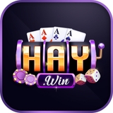 The "HAYWIN" user's logo