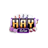 The "HAYWIN" user's logo