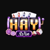 The "Haywin design" user's logo