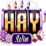 The "HAYWIN" user's logo