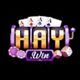 The "HAYWIN" user's logo
