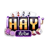 The "haywini com" user's logo