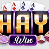 The "Haywin" user's logo