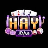 The "HAYWIN" user's logo