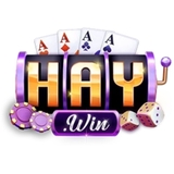 The "Cổng game HAYWIN" user's logo