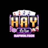 The "Haywin tech" user's logo