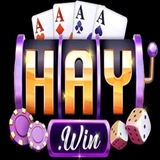 The "Haywin – Nhà Cái Cá Cược" user's logo