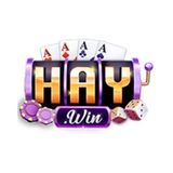 The "Haywin" user's logo