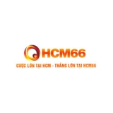 The "hcm66us" user's logo
