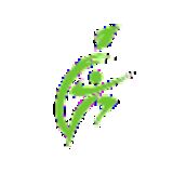 The "Healthy Jeena Sikho" user's logo