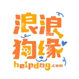 The "helpdogcom" user's logo
