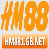 The "hm881gbnet" user's logo
