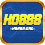 The "ho888org" user's logo