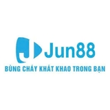 The "CEO Nguyễn Diệu Linh" user's logo