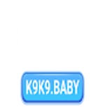 The "K9K9 " user's logo