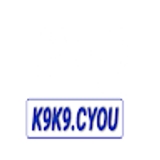 The "K9K9 " user's logo