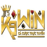 The "k9win city" user's logo
