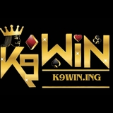 The "K9win" user's logo