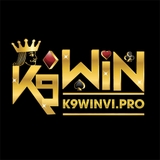The "K9WIN" user's logo