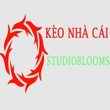The "keonhacaistudio1" user's logo