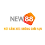 The "NEW888 – Sân chơi đổi thưởng uy tín" user's logo