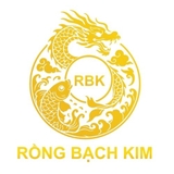 The "rongbachkimvn" user's logo