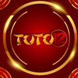 The "Link toto12" user's logo