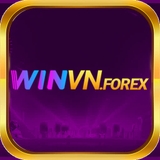 The "WINVN – Nền Tảng Cá Cược & Đầu Tư Trực Tuyến Đa Dạng" user's logo
