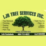 The "LJR Tree Services" user's logo