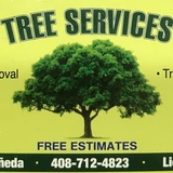 The "LJR Tree Services" user's logo