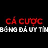 The "Cá Cược Bóng Đá Chuyên Nghiệp: Bí Quyết và Chiến Lược Thắng Lớn" user's logo
