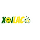 The "maniffesto com fake website" user's logo
