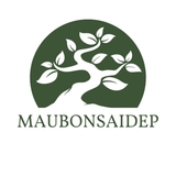 The "maubonsaidep" user's logo