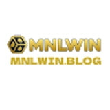 The "MNLWIN blog" user's logo