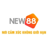 The "New88" user's logo