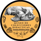 The "MUCDI Azcapotzalco" user's logo