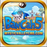 The "bancah5" user's logo