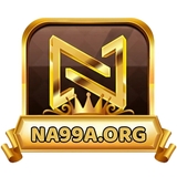 The "na99aorg" user's logo