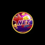 The "Netwin com co" user's logo