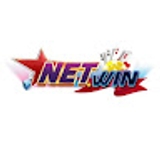 The "NETWINS VIN" user's logo